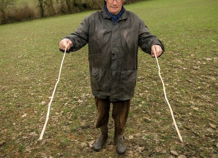 Zahorí